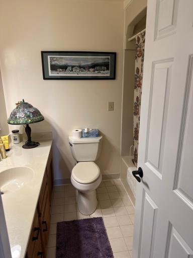 1720 Wabanica Bay Drive NW, Baudette, MN 56623