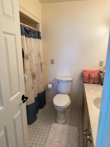 1720 Wabanica Bay Drive NW, Baudette, MN 56623