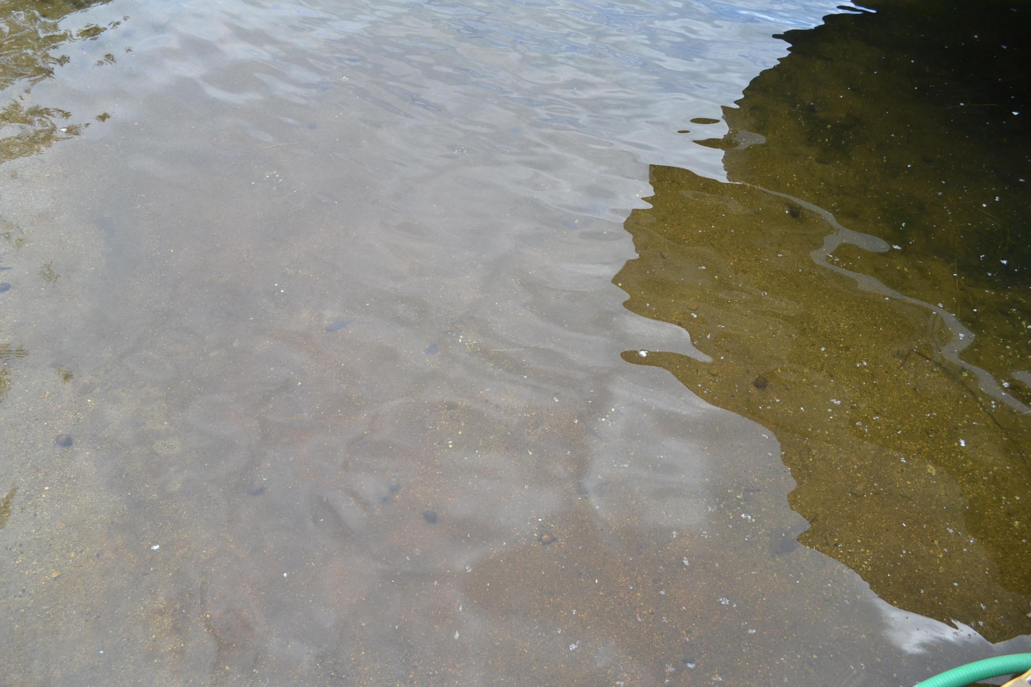 Water Front