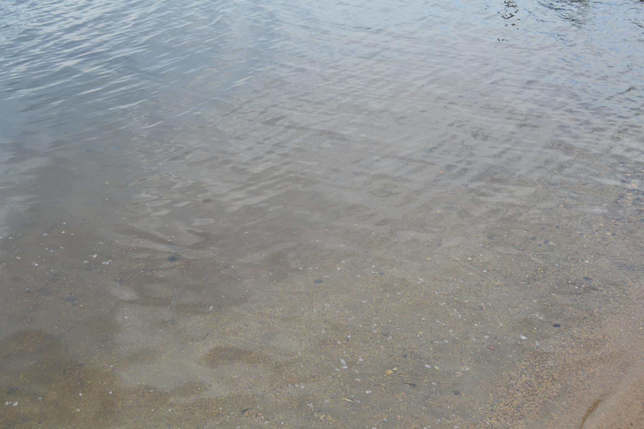 Swimming