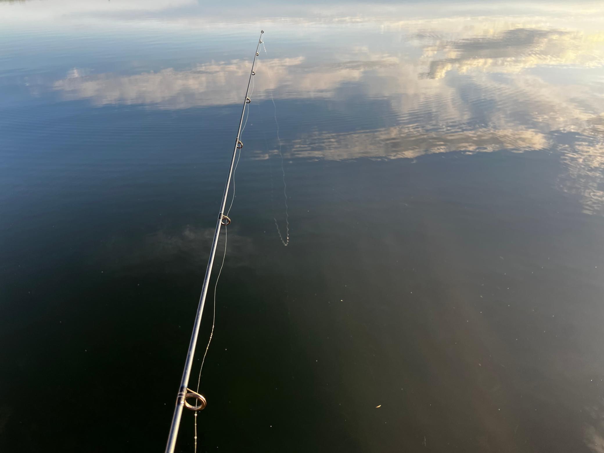 Right off the dock!