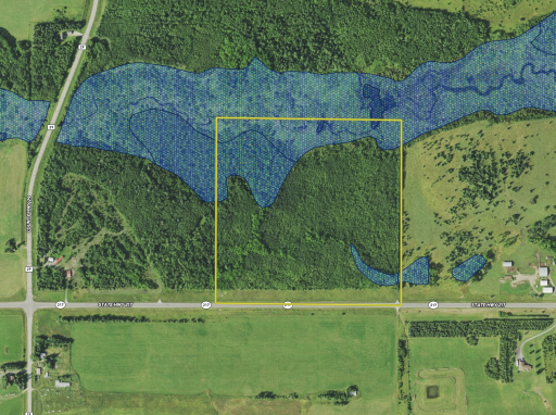 2425 Highway 217 Ray. Wetland Layer.png