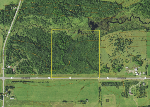 2425 Highway 217 Ray. Hybrid.png