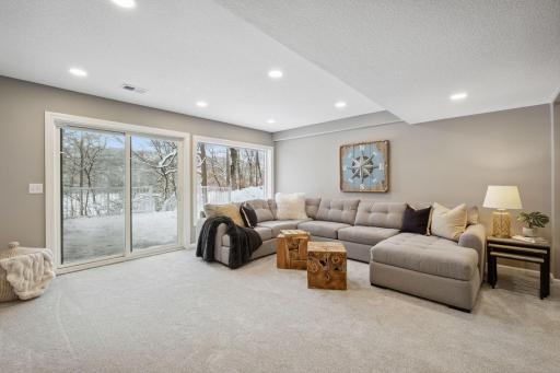 Walkout LL family room. a great place to relax!