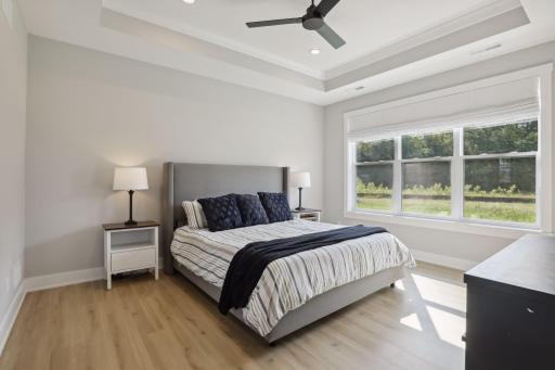 Primary suite with beautiful tray ceiling