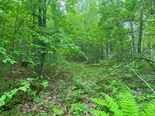 Photo Jun 01 2023, 9 14 36 AM.jpg