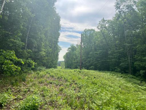 Photo Jun 01 2023, 9 15 53 AM.jpg