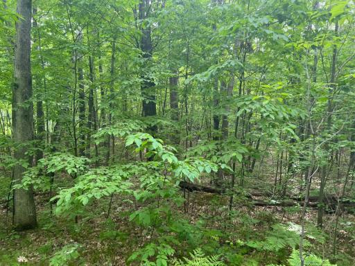 Photo Jun 01 2023, 9 16 15 AM.jpg