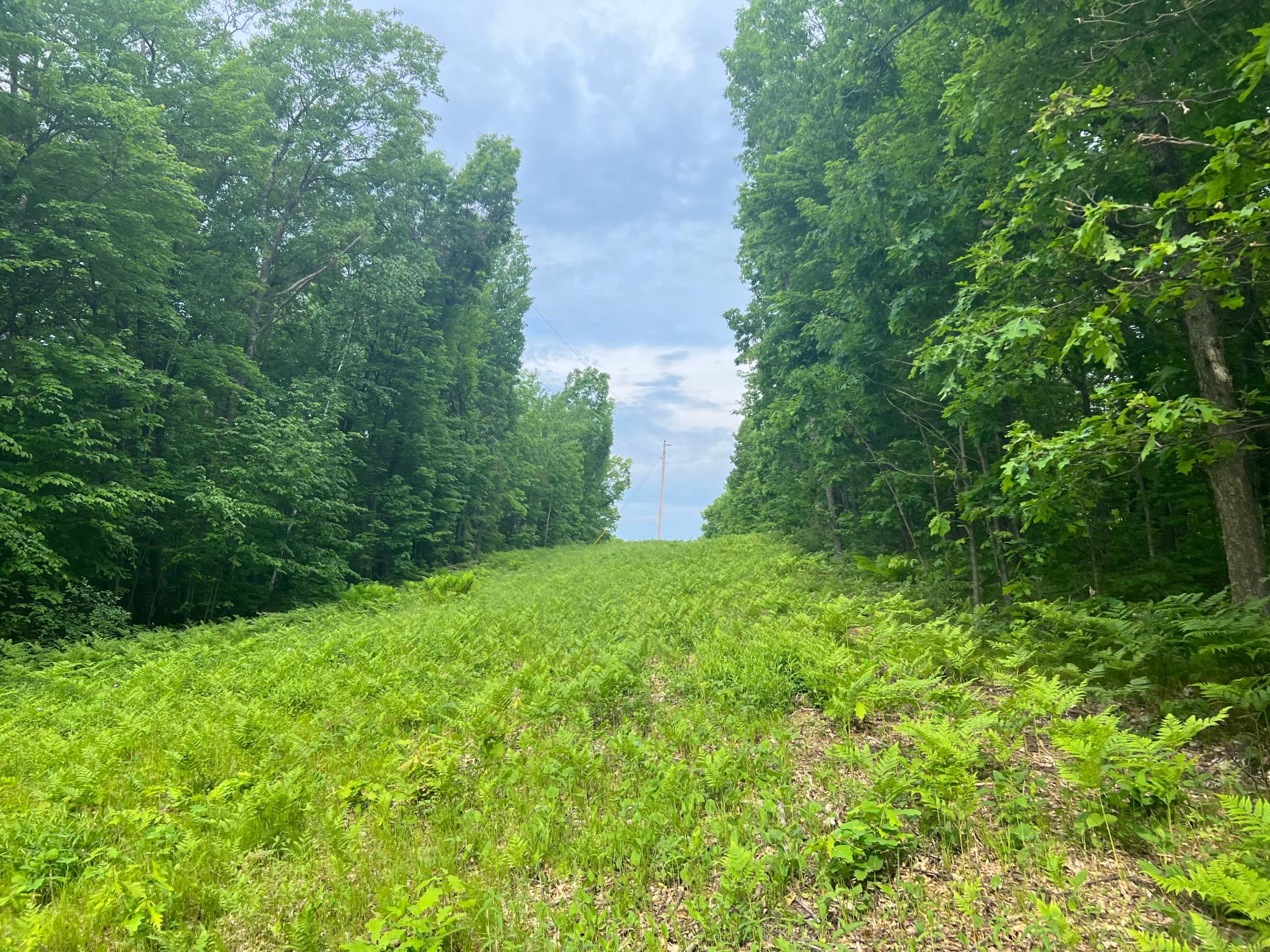 Photo Jun 01 2023, 9 15 51 AM.jpg