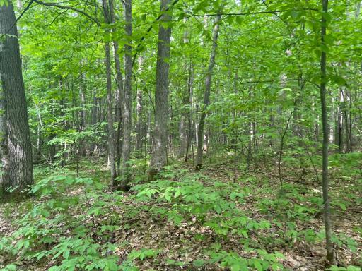 Photo Jun 01 2023, 9 16 11 AM.jpg