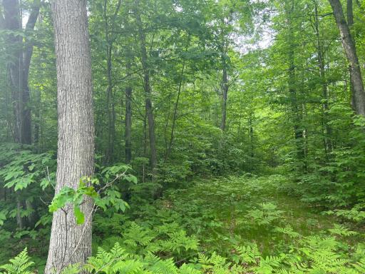 Photo Jun 01 2023, 9 16 02 AM.jpg