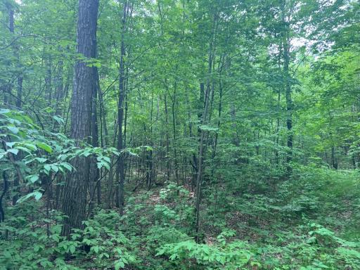 Photo Jun 01 2023, 9 16 22 AM.jpg