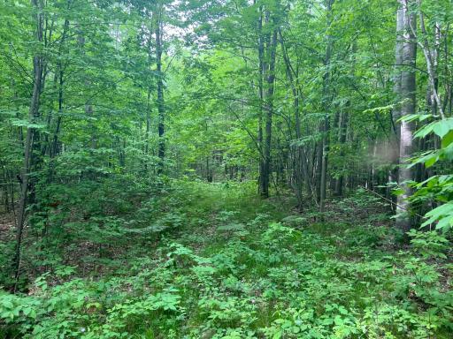 Photo Jun 01 2023, 9 16 23 AM.jpg