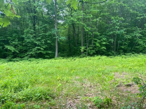 Photo Jun 01 2023, 9 15 46 AM.jpg