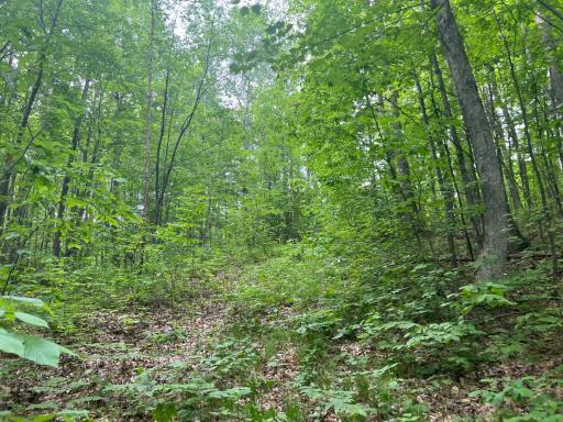 Photo Jun 01 2023, 9 15 10 AM.jpg