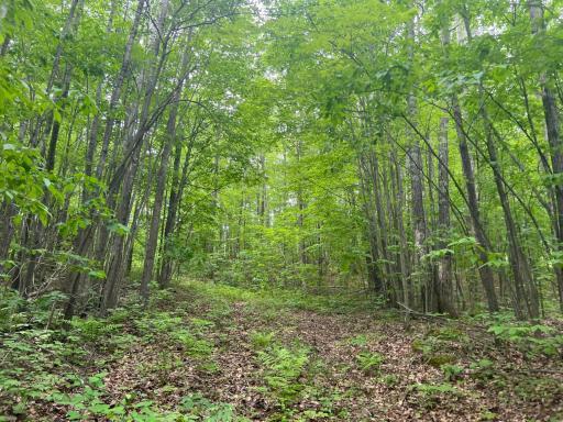 Photo Jun 01 2023, 9 14 48 AM.jpg