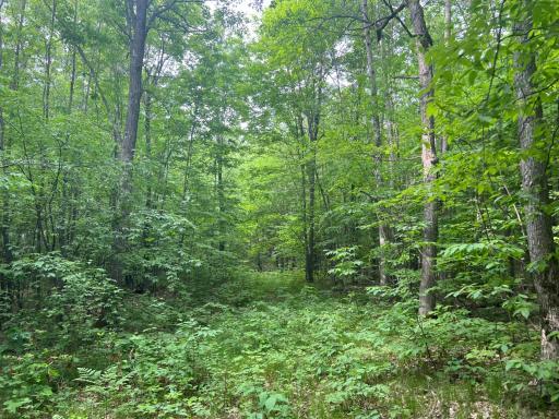 Photo Jun 01 2023, 9 16 13 AM.jpg