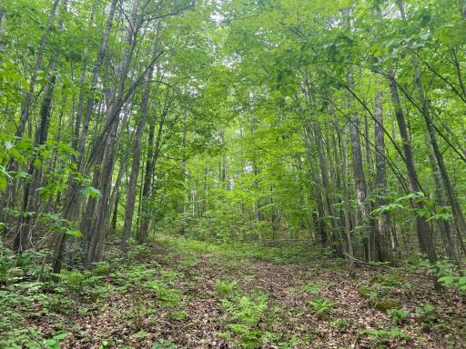 Photo Jun 01 2023, 9 14 48 AM (1).jpg