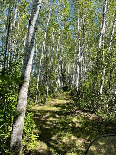 Photo for 832 Town Road 136, Baudette, MN 56623 - Listing #6382164 832 Town Road 136, Baudette, MN 56623