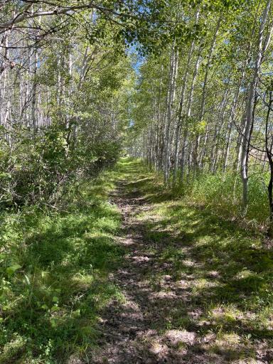 Photo for 832 Town Road 136, Baudette, MN 56623 - Listing #6382164 832 Town Road 136, Baudette, MN 56623