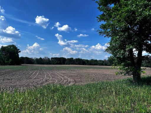 2506 Swedish Drive NE, Ham Lake, MN 55304