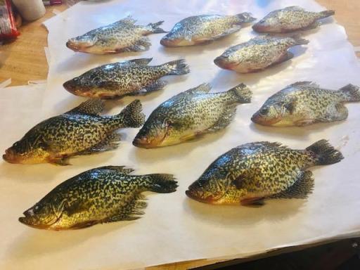 SLAB CRAPPIES
