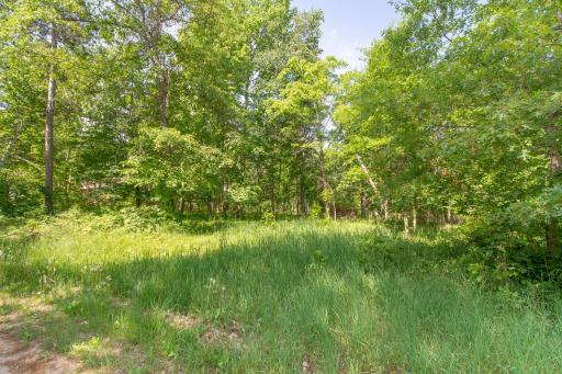 Bring your building plans!