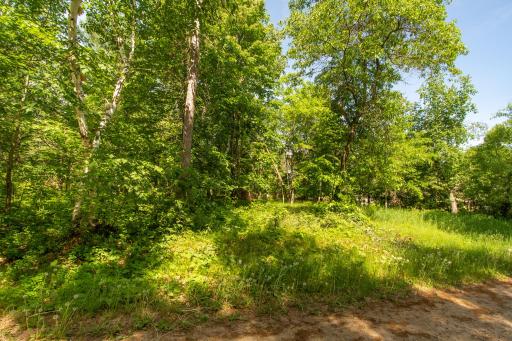 Electric box at the road and natural gas.