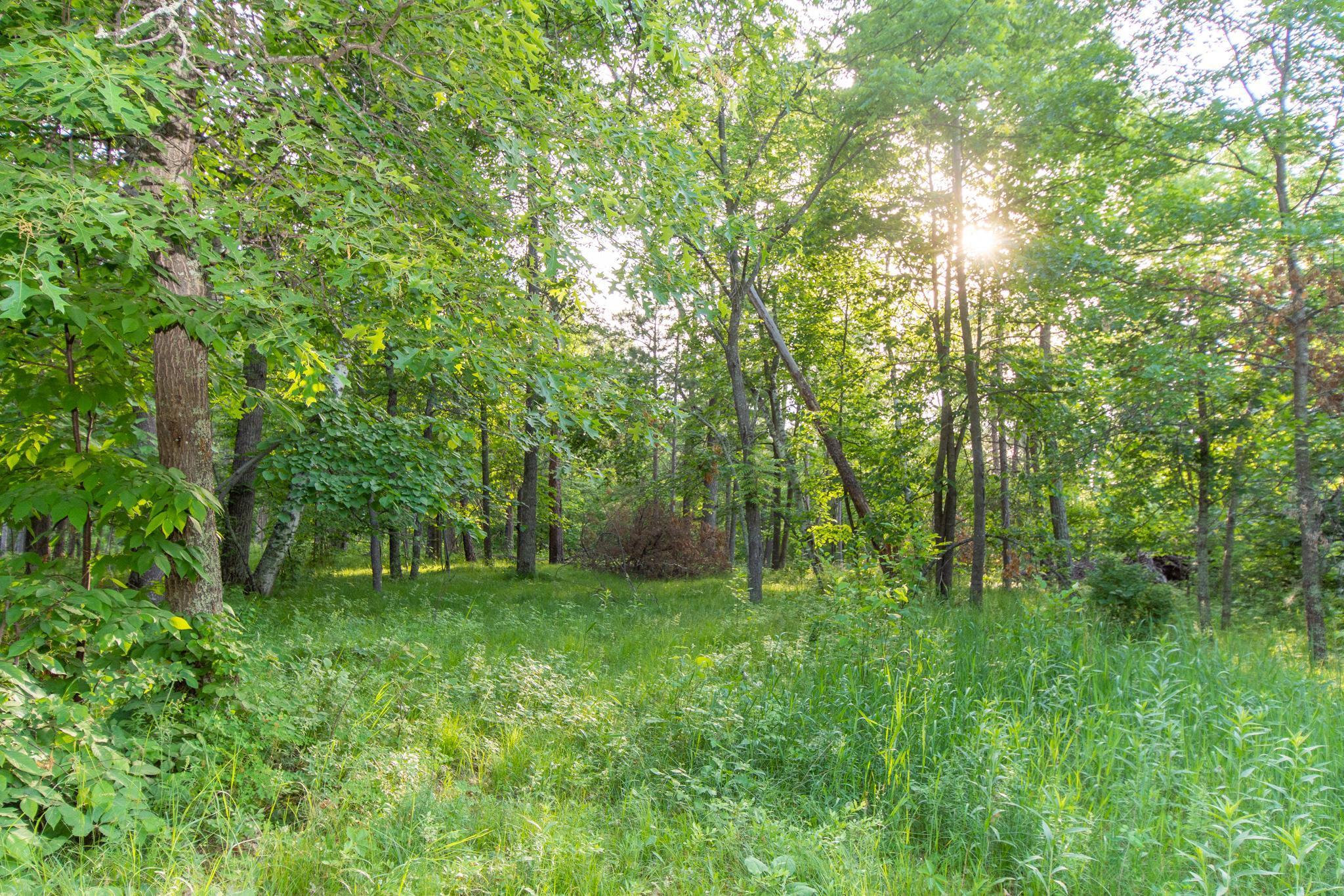 Beautiful double lot!