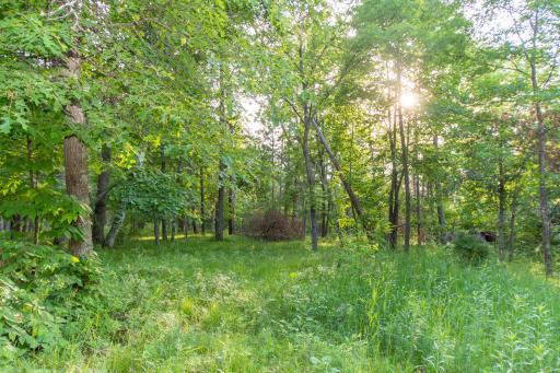 Beautiful double lot!