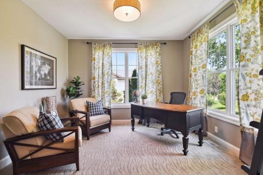 An office with a view. Can you picture yourself working from home here?
