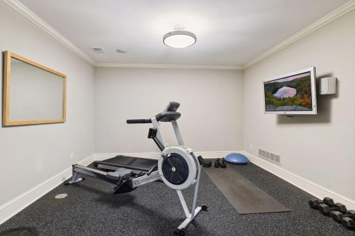 Lower level home gym