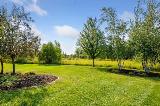 290 Lythrum Lane, Hamel, MN 55340