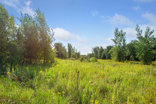 290 Lythrum Lane, Hamel, MN 55340