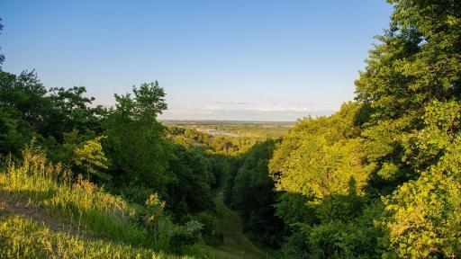 Lebanon Hills Regional Park is just over 4 miles away, this park contains 2,000 acres of woods and lakes, with nearly endless trails: 19 miles of natural hiking trails, 10 miles of horse trails, and 11 miles of mountain bike trails.