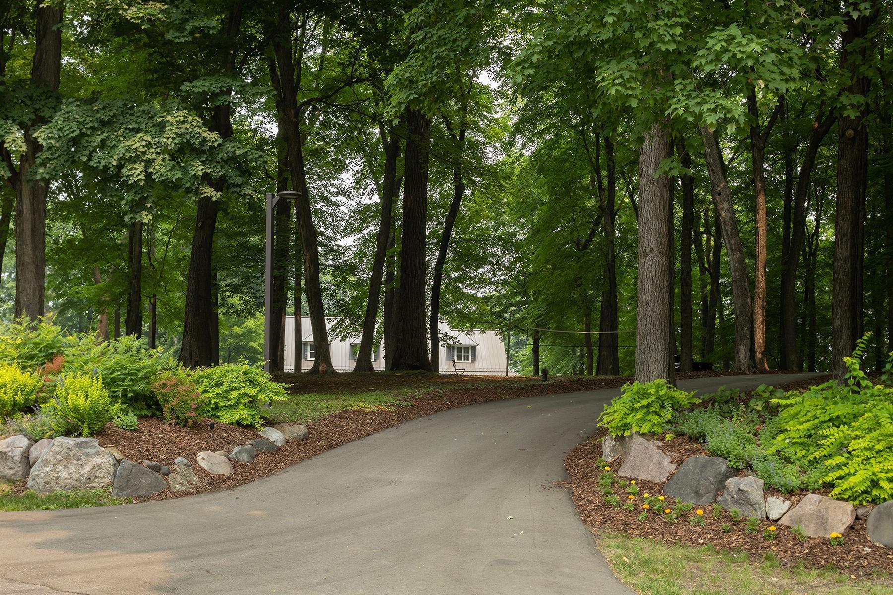 Peaceful and private wooded approach