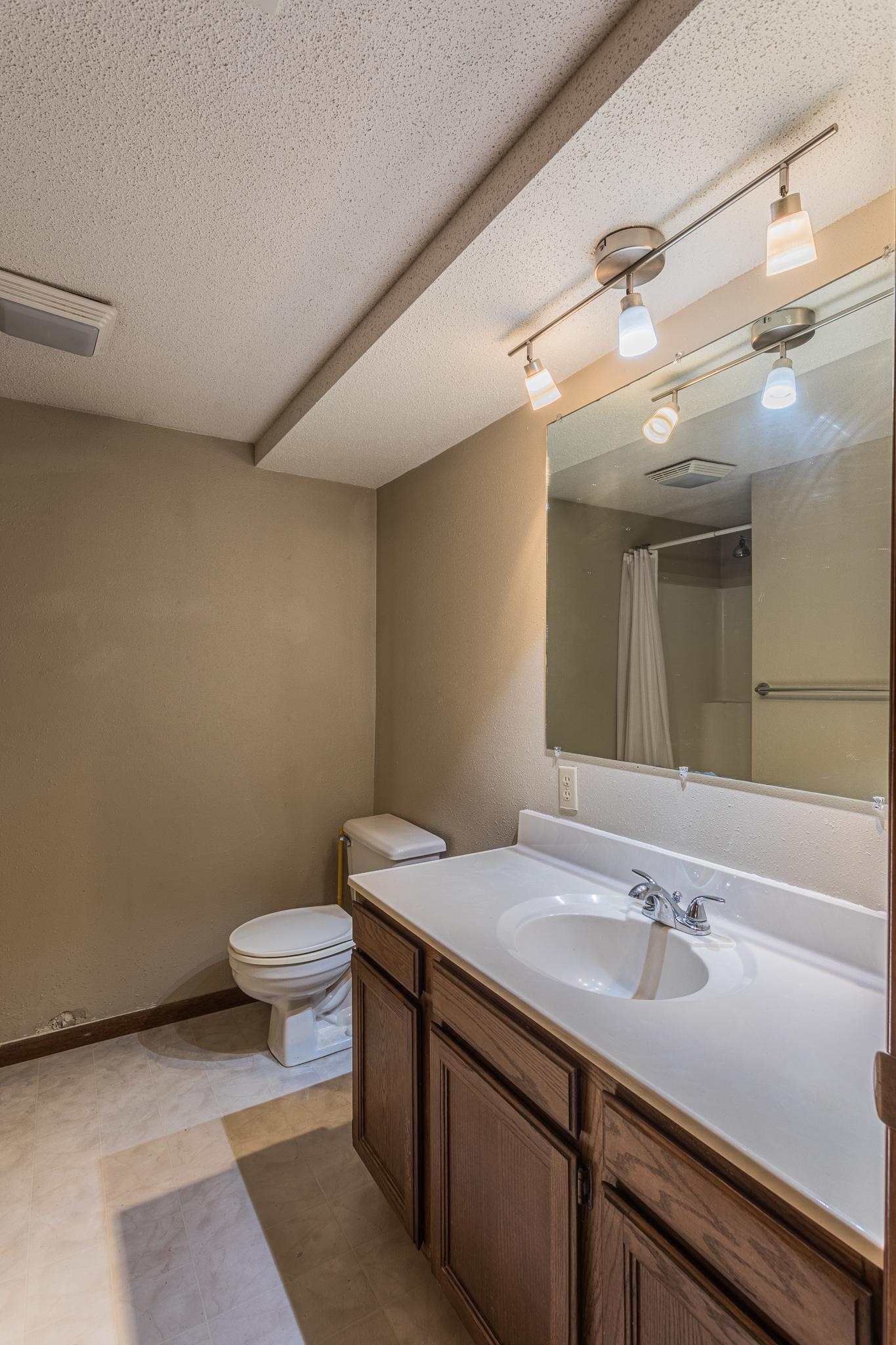 Lower Level Bath (Full)