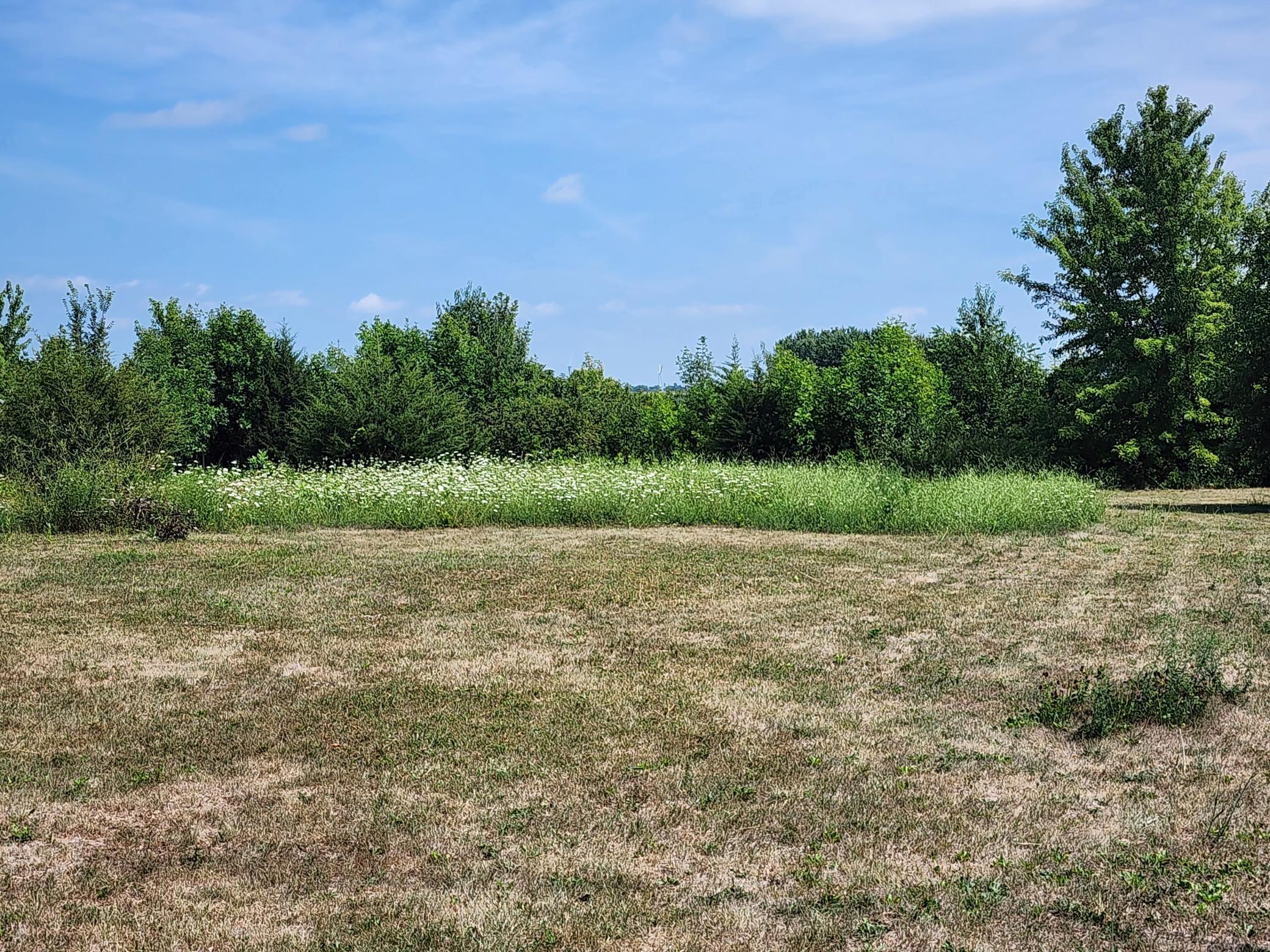 Photo for TBD N Pine Street, Dexter, MN 55926 - Listing #6386049 TBD N Pine Street, Dexter, MN 55926