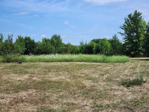 Photo for TBD N Pine Street, Dexter, MN 55926 - Listing #6386049 TBD N Pine Street, Dexter, MN 55926