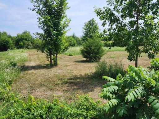 Photo for TBD N Pine Street, Dexter, MN 55926 - Listing #6386049 TBD N Pine Street, Dexter, MN 55926