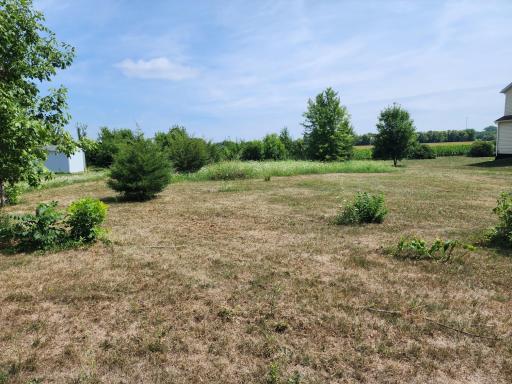 Photo for TBD N Pine Street, Dexter, MN 55926 - Listing #6386049 TBD N Pine Street, Dexter, MN 55926