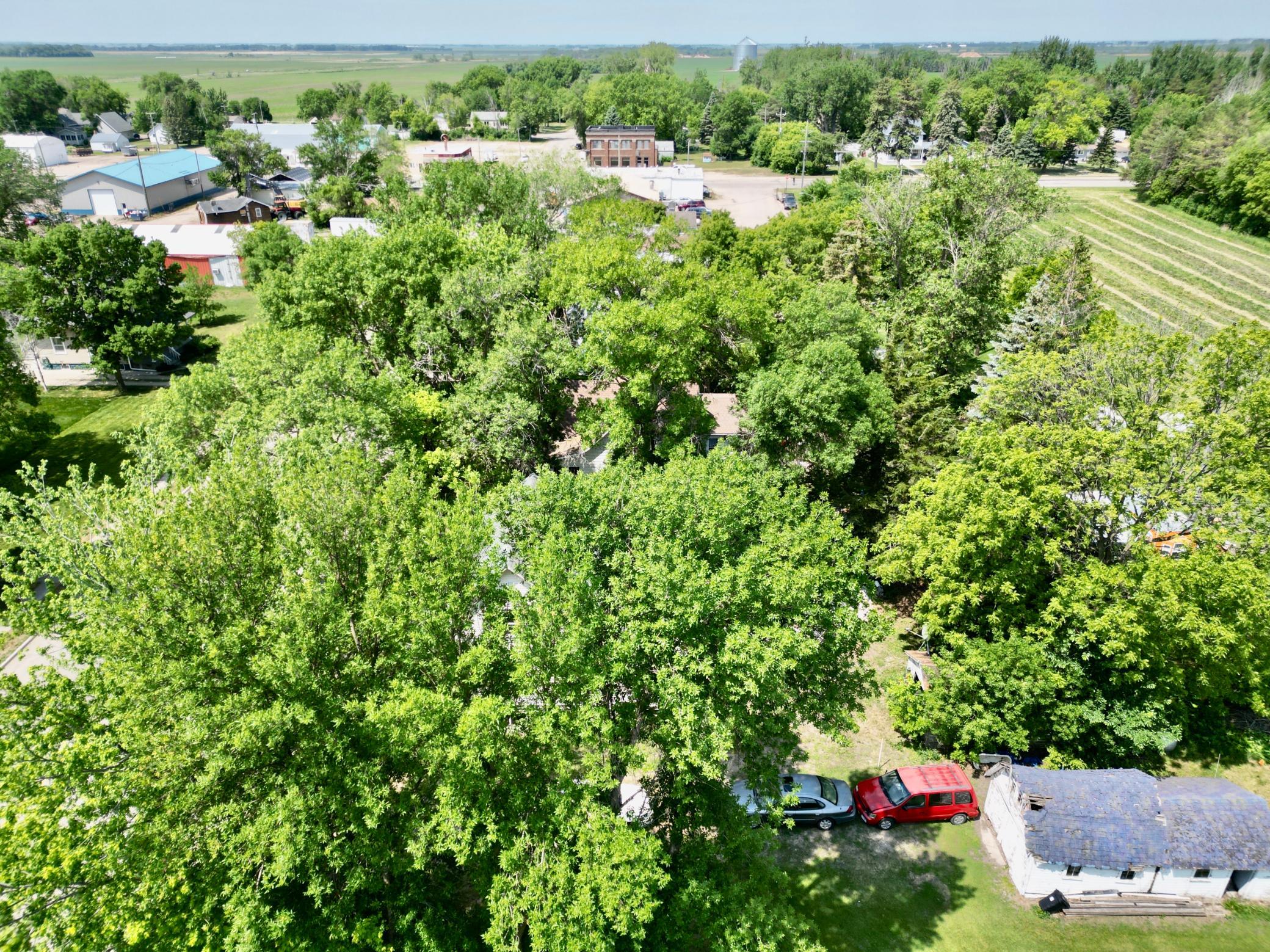 DJI_0116.JPG