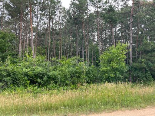 Photo for Lot 15 647th Street, Wabasha, MN 55981 - Listing #6386377 Lot 15 647th Street, Wabasha, MN 55981