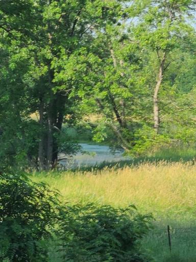 The river winds and winds through the east portion of the property