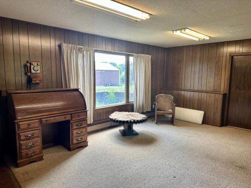 The lower level rec/family room area. Nice Walkout basement