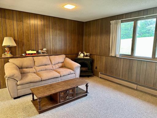 Finished lower level family room.