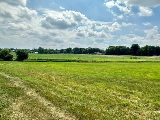 Privacy of the trees but yet space to run