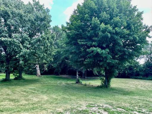 Wooded & private setting