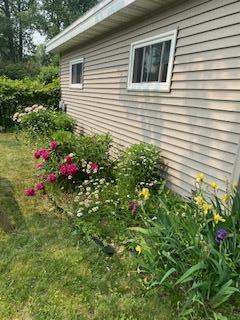 20-Flowers (2).jpg