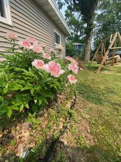 20-Flowers.jpg